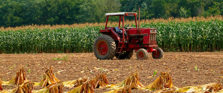 kentucky-tobacco-farming
